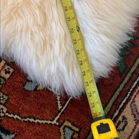 HUGE Sheepskin Rug - Picture 2 of 6